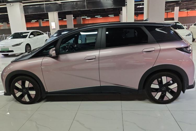 Used BYD Dolphin 2021 401km Knight Edition
