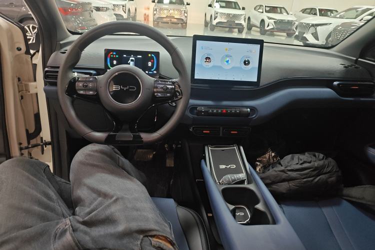 Used BYD Seagull 2024 Honor Edition 305km Dynamic Version
