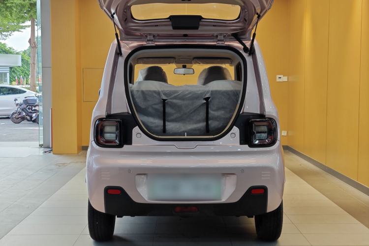 Used  Panda 2024 Panda Mini 200km Endurance Bear