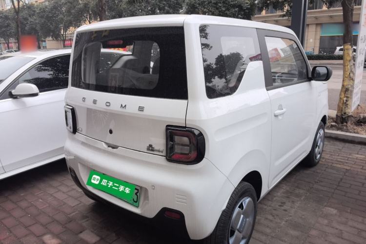 Used  Panda 2024 Panda Mini 200km Endurance Bear
