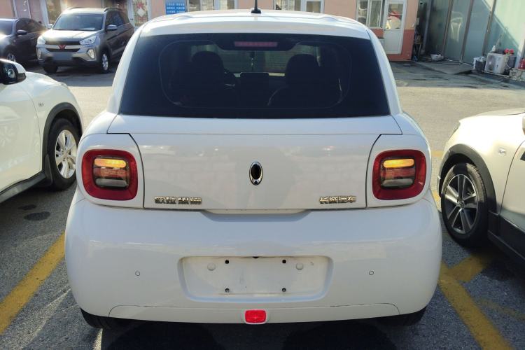 Used ORA Black Cat 2021 351 km Standard Version
