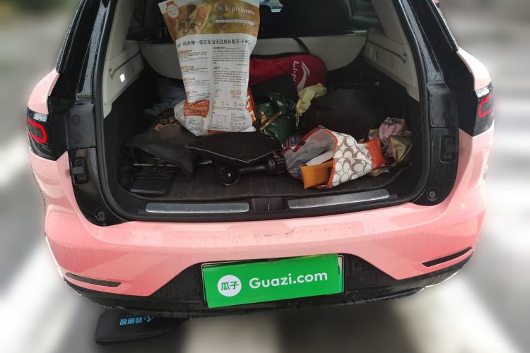 Used Leapmotor C11 2021 Luxury Edition
