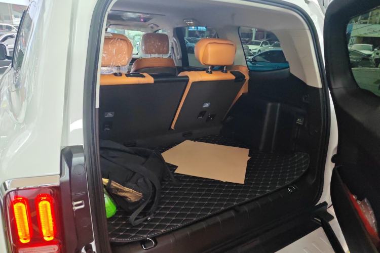 Used Tank 500 New Energy 