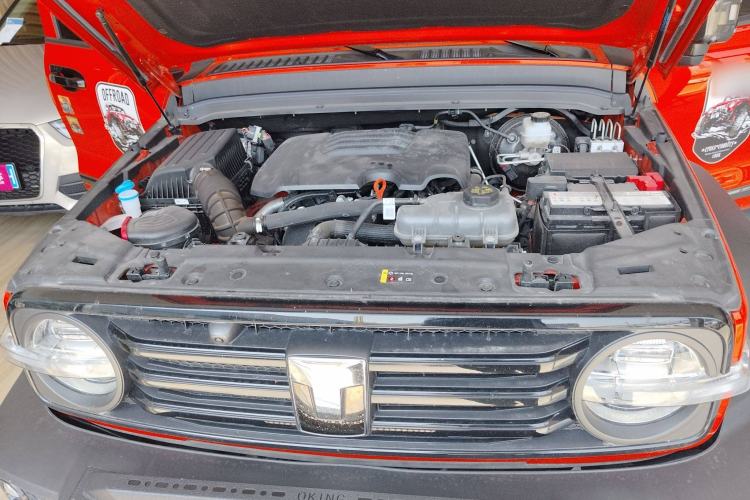 Used Tank 300 2024 2.0T Conqueror
