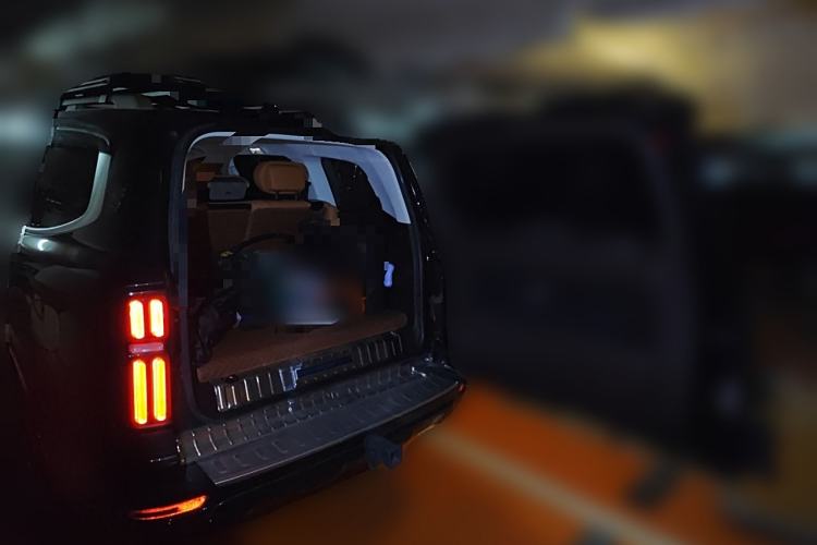 Used Tank 500 New Energy 2023 Hi4-T
