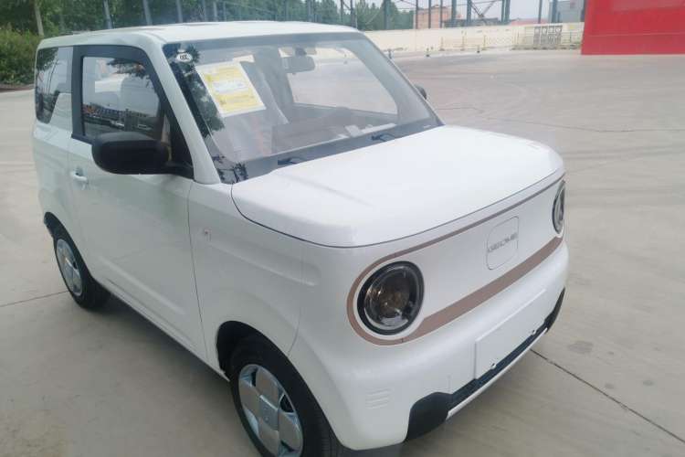 Used  Panda 2024 Panda Mini 200km Endurance Bear
