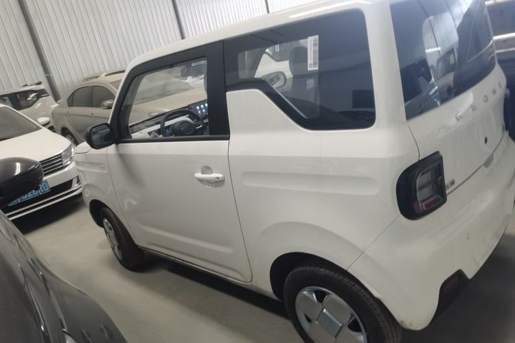 Used  Panda 2024 Panda Mini 200km Endurance Bear
