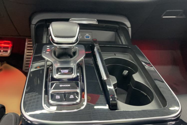 Used Hongqi H9 2024 2.0T Qichang Private Enjoyment Luxury Edition
