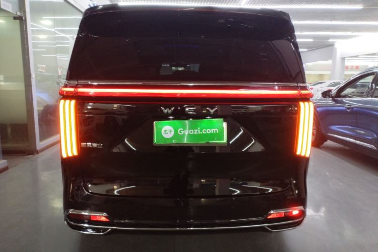 Used Wey Gaoshan 2023 Four-Wheel Drive Flagship Edition
