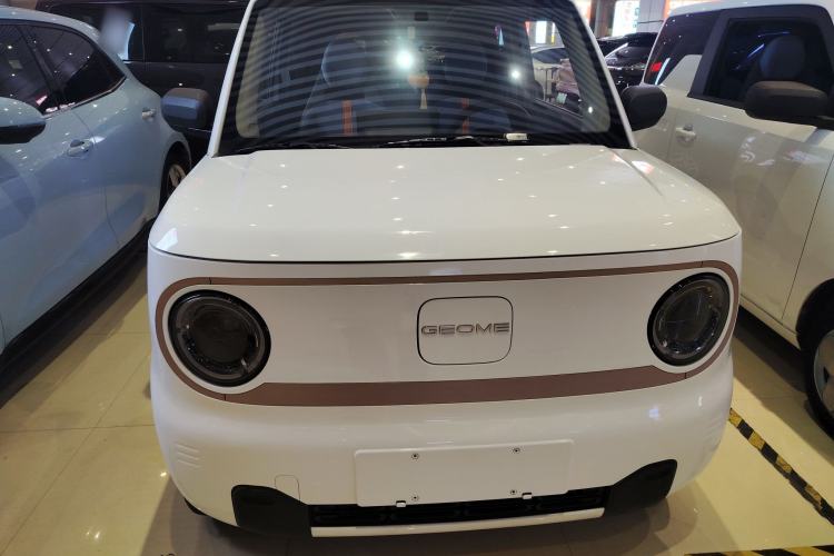 Used  Panda 2024 Panda Mini 200km Endurance Bear
