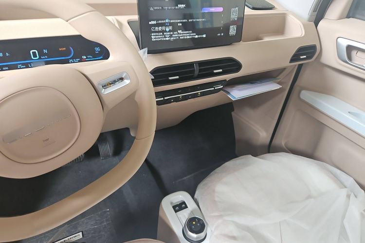 Used  Panda 2024 Panda Mini 200km Endurance Bear
