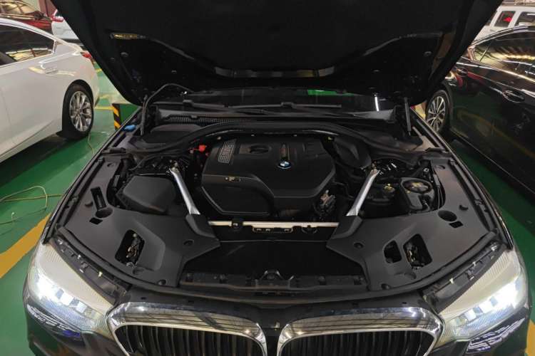 Used BMW 5 Series 2019 530Li Leading Model M Sport Package