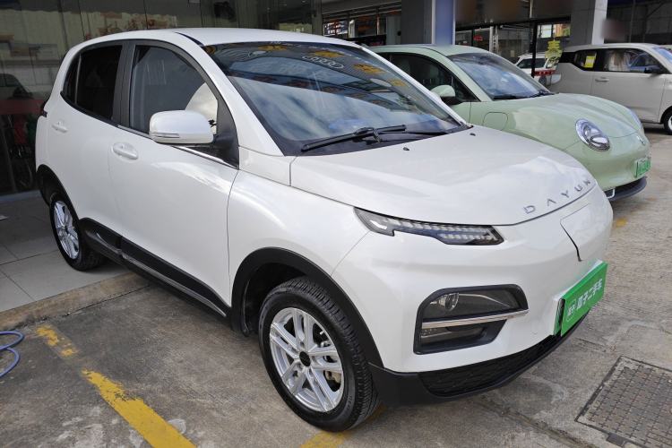Used Dayun Yuehu 2022 30.66 kWh Two-Wheel Drive Standard Version
