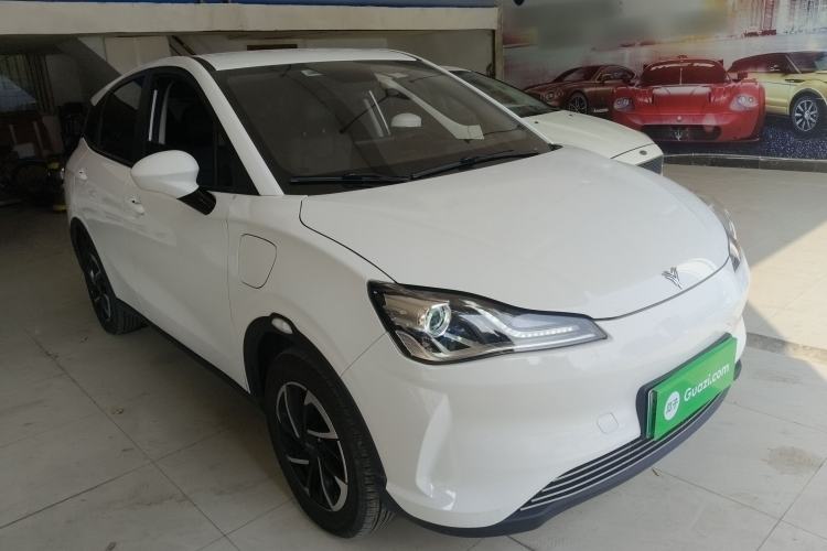 Used NETA V 2021 Long-Range Entertainment Edition Upgrade Model
