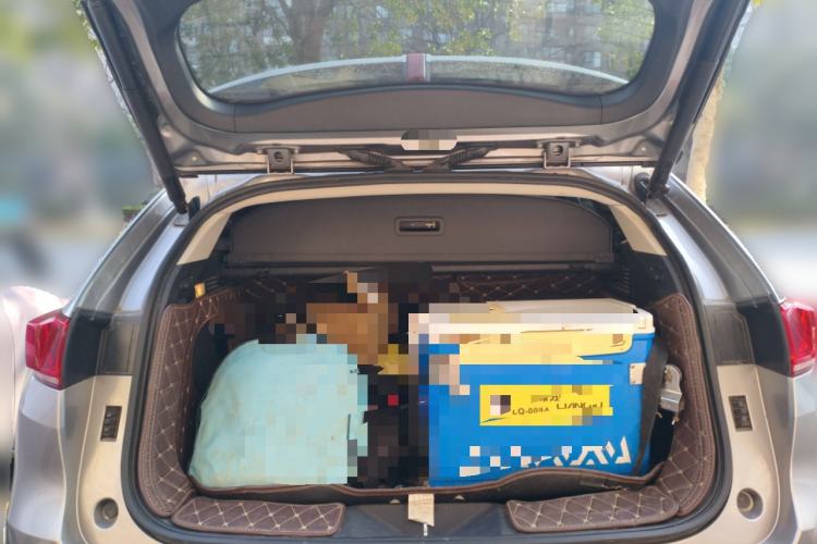 Used Wey VV7 2017 2.0T Flagship Edition
