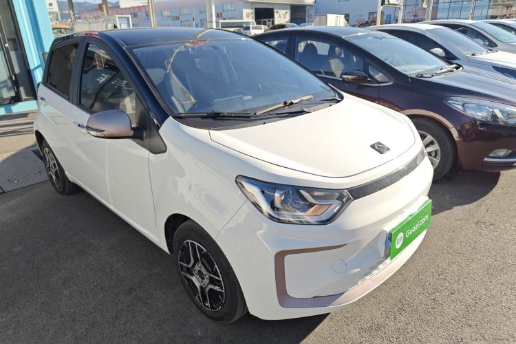 Used SOL E10X 2022 Flower Fairy Design Four-Leaf Clover