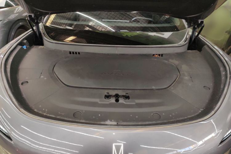 Used  07 2024 Max Extended-Range Edition
