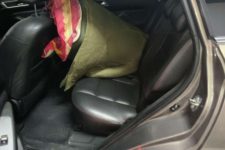 Used Leopaard CS10 2017 1.5T CVT Elite Model
