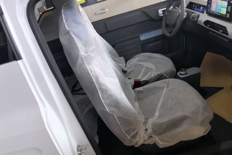 Used  Panda 2024 Panda Mini 200km Endurance Bear
