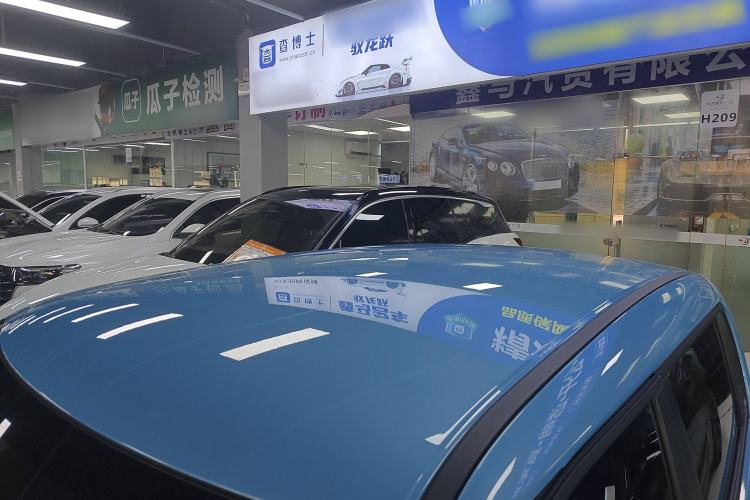 Used ORA White Cat 2020 305 km Luxury Version
