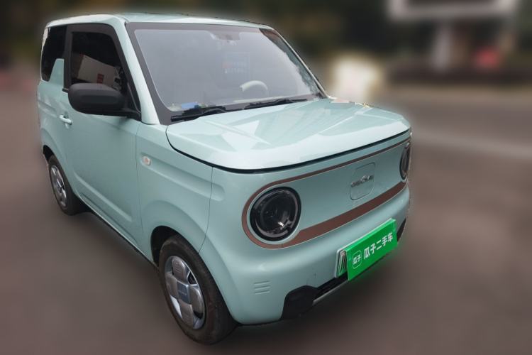 Used  Panda 2023 Panda Mini 200km Endurance Bear
