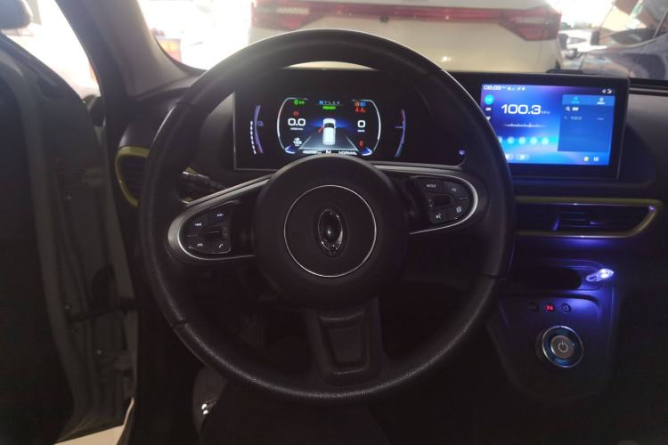 Used ORA White Cat 2020 305 km Luxury Version
