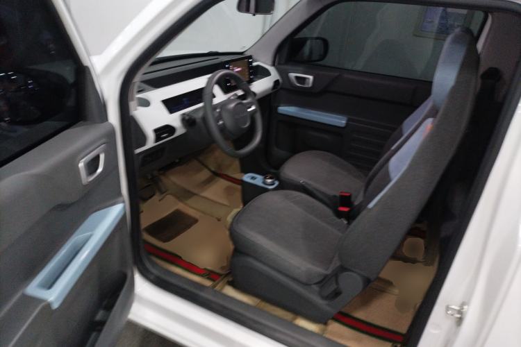 Used  Panda 2024 Panda Mini 200km Endurance Bear
