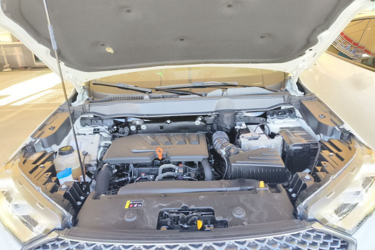 Used Haval H6 2021 3rd Generation 2.0T Automatic Two-Wheel Drive Max