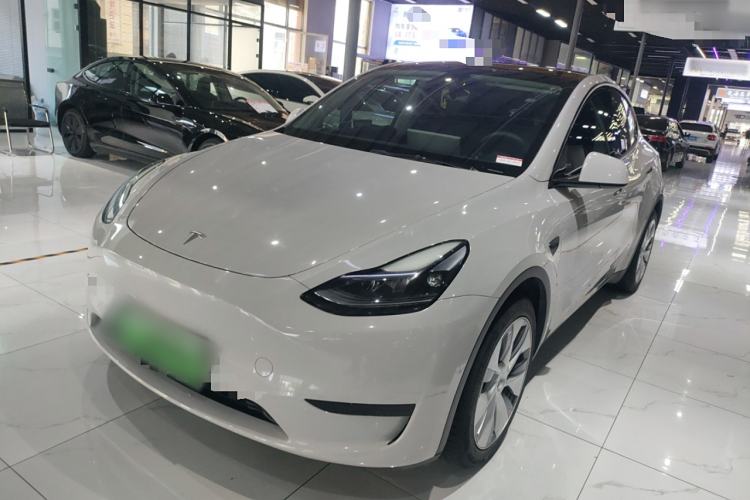 Used Tesla Model Y 2021 Standard Range Rear-Wheel Drive Version
