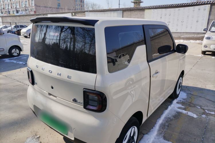 Used  Panda 2025 210 km – Yuanqi Bear
