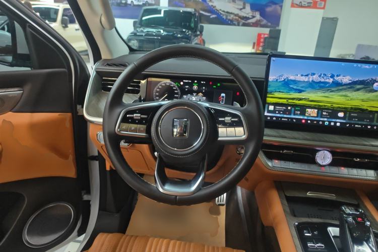 Used Tank 500 New Energy 2023 Hi4-T
