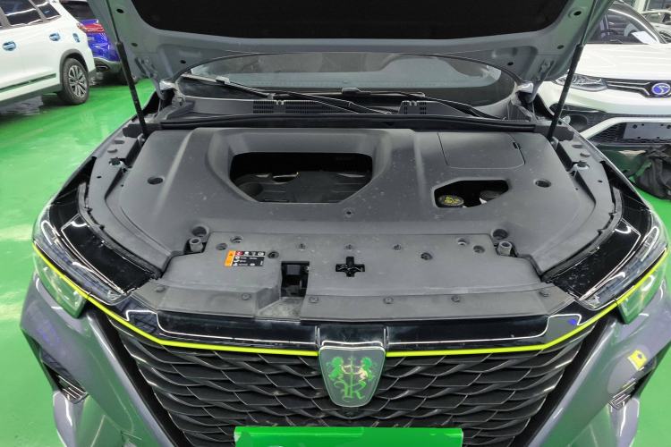 Used Roewe RX5 2021 PLUS 300TGI Automatic Ali National Trend Luxury Ronglin Edition
