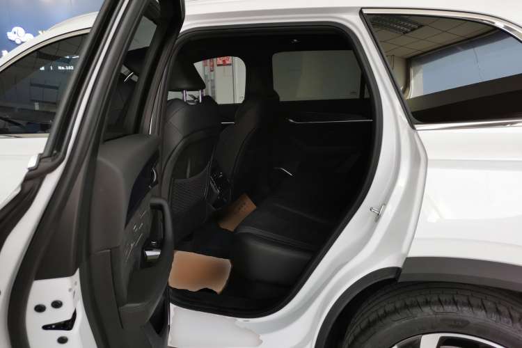 Used Geely Auto Monjaro L 2024 2.0TD High-Power Automatic Two-Wheel Drive Skyline Edition
