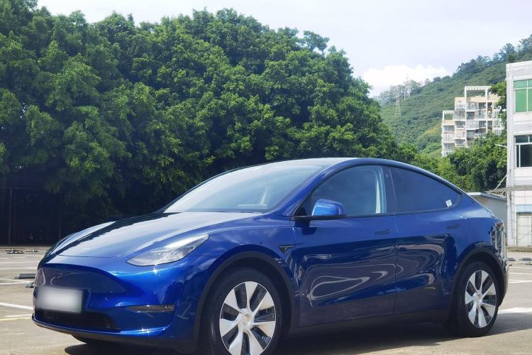 Used Tesla Model Y 2021 Standard Range Rear-Wheel Drive Version
