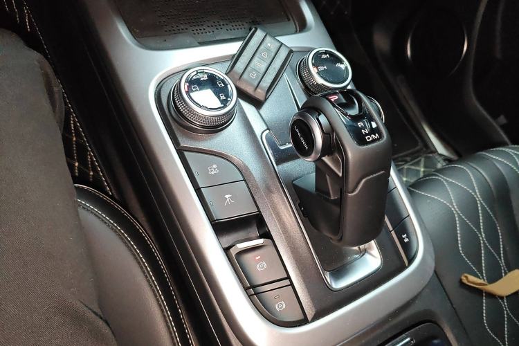 Used Tank 300 2024 2.0T Challenger
