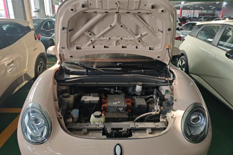 Used ORA Good Cat 2023 401 km Standard Range Luxury Version Lithium Iron Phosphate
