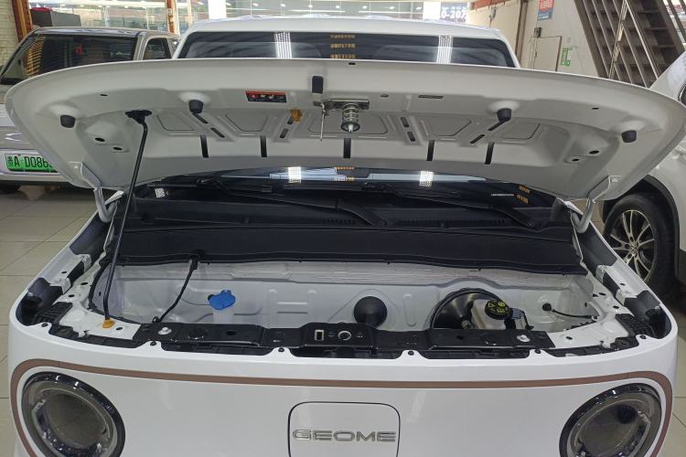 Used  Panda 2023 Panda Mini 200km Endurance Bear