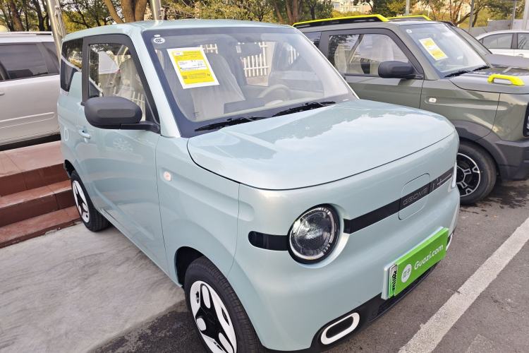 Used  Panda 2025 210 km – Yuanqi Bear

