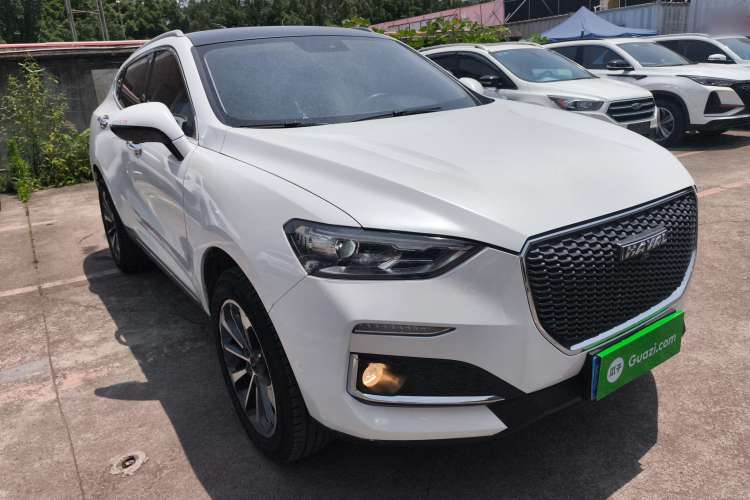 Used Haval F5 2019 National Trend Edition 1.5T i-Trend China VI Standard
