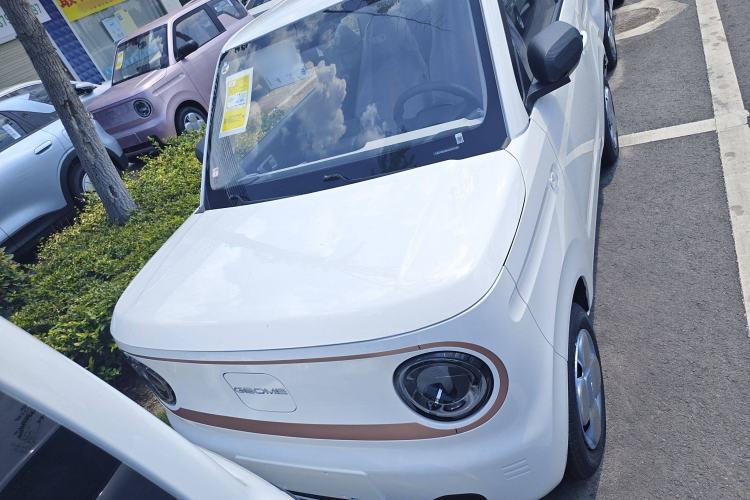 Used  Panda 2024 Panda Mini 200km Endurance Bear
