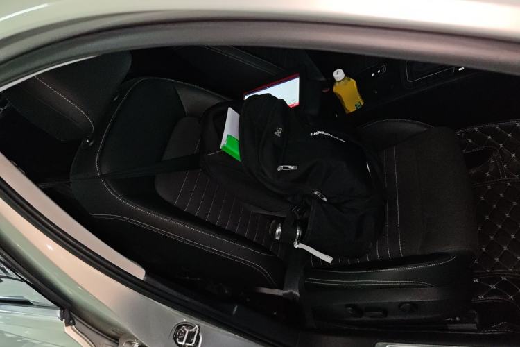 Used Volkswagen Magotan 2020 330TSI DSG Luxury Edition