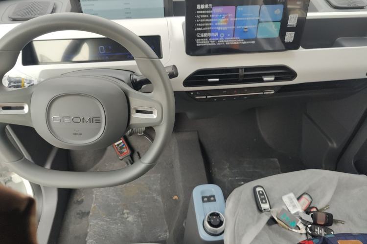 Used  Panda 2024 Panda Mini 200km Endurance Bear
