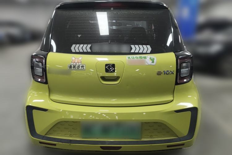 Used SOL E10X 2022 Flower Fairy Style Baby's Breath
