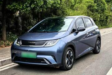 Used BYD Dolphin 2024 Honor Edition 420km Fashion Version