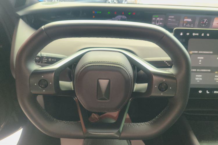 Used  06 2025 Max Extended-Range Edition
