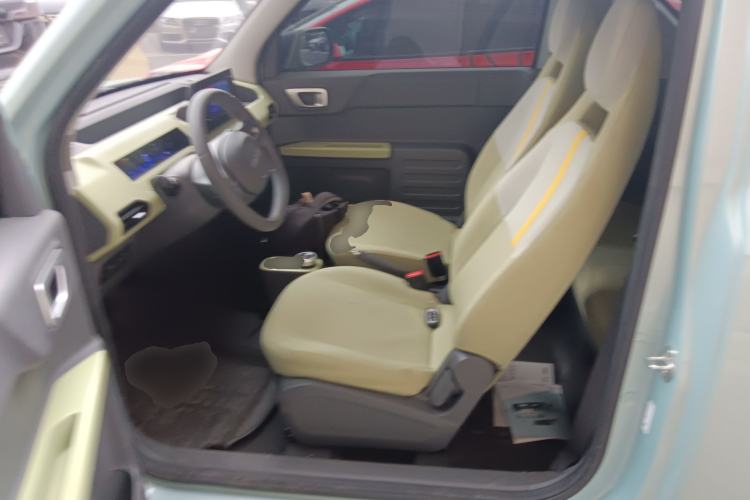 Used  Panda 2023 Panda Mini 200km Endurance Bear
