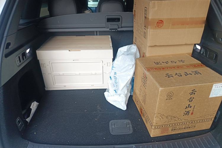 Used Li Auto L6 2024 Max
