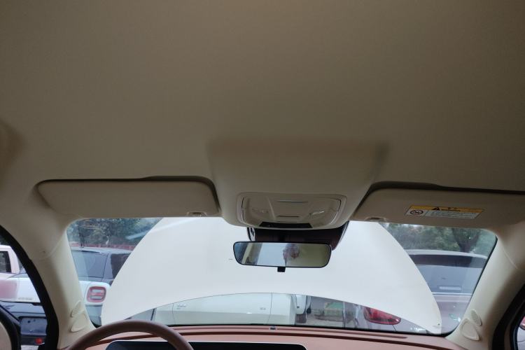 Used ORA Good Cat 2023 401 km Standard Range Luxury Version Lithium Iron Phosphate
