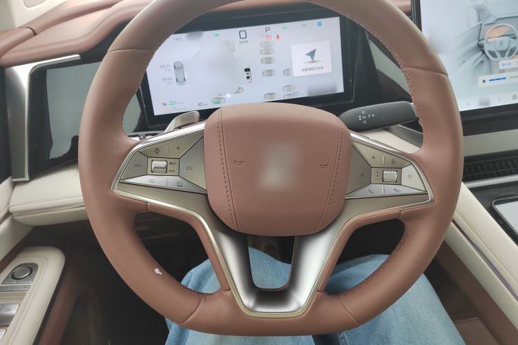 Used BYD Xia 2025 DM-i 1.5T 180km Excellence Model
