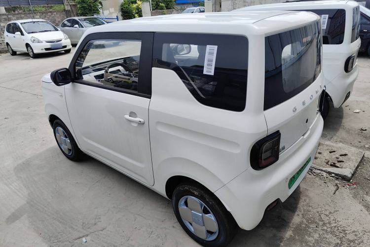 Used  Panda 2024 Panda Mini 200km Endurance Bear
